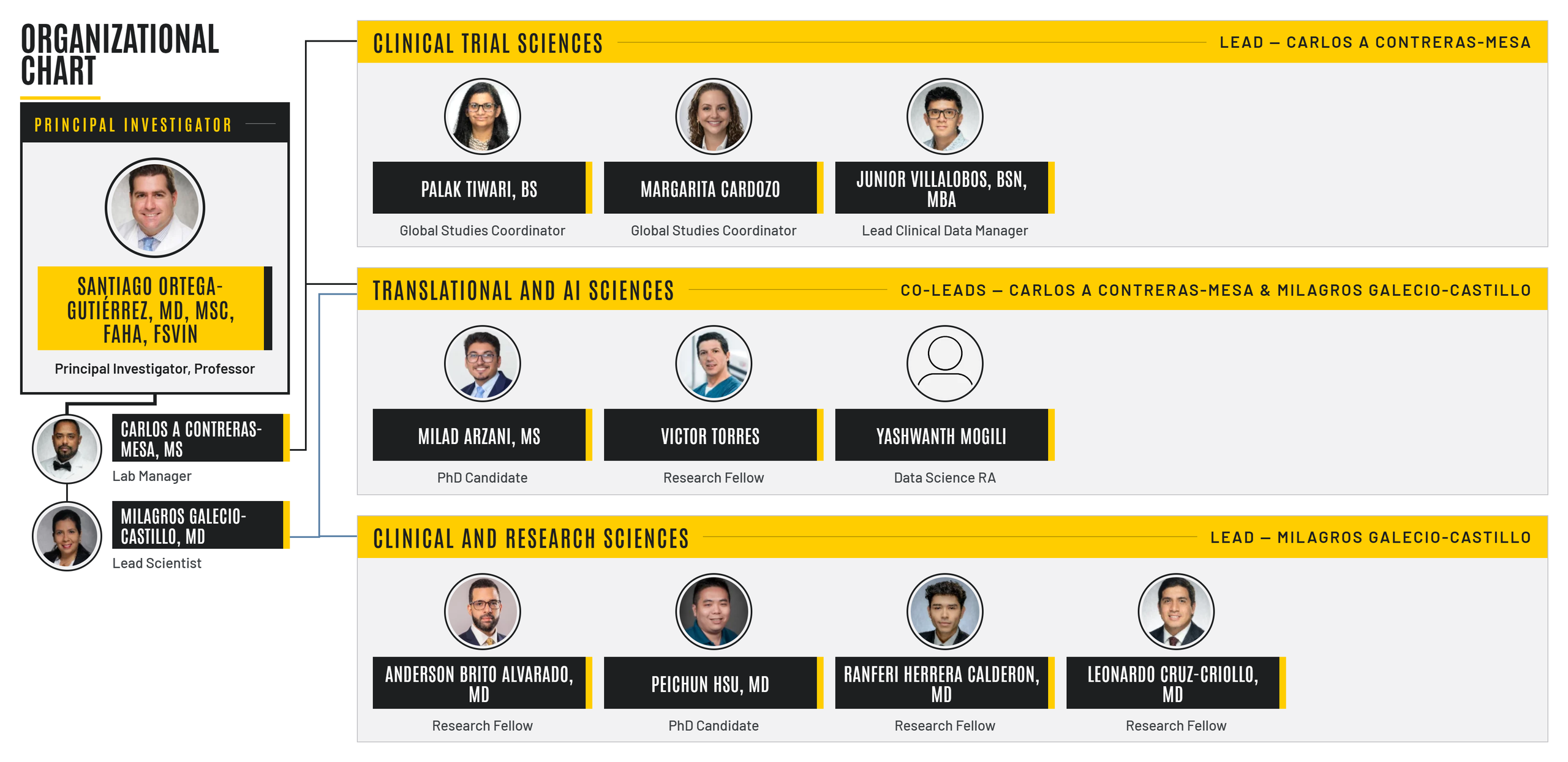 Organizational chart of the Cerebrovascular and Neurointerventional Lab, showing the principal investigator, lab manager, lead scientist, and three research units